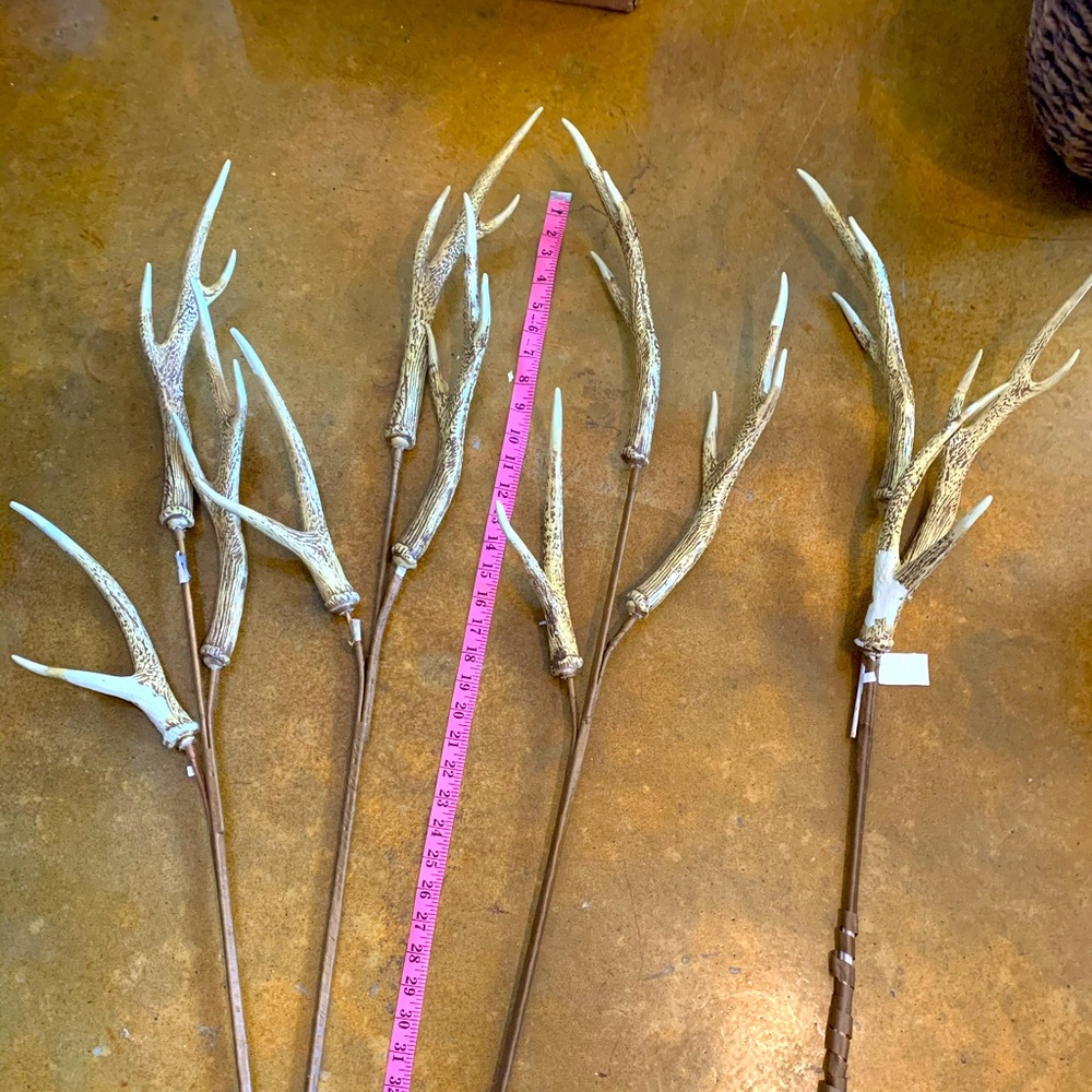 Pier 1 Antler Picks